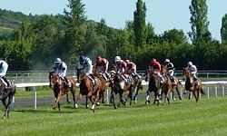 Durban July