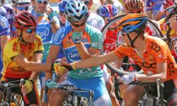 Steam Cycle Challenge