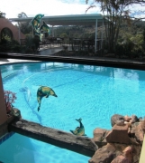 across-pool-to-sundeck-2
