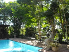 Crowhurst-pool-area