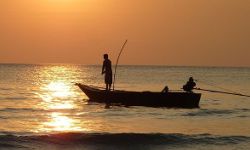fishing