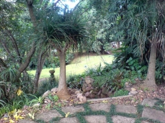 garden-from-pavers