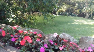 macnut-garden