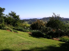 shenindor-front-garden-2