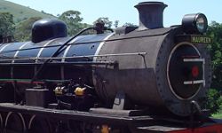 steam-train