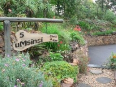 Umsinsi